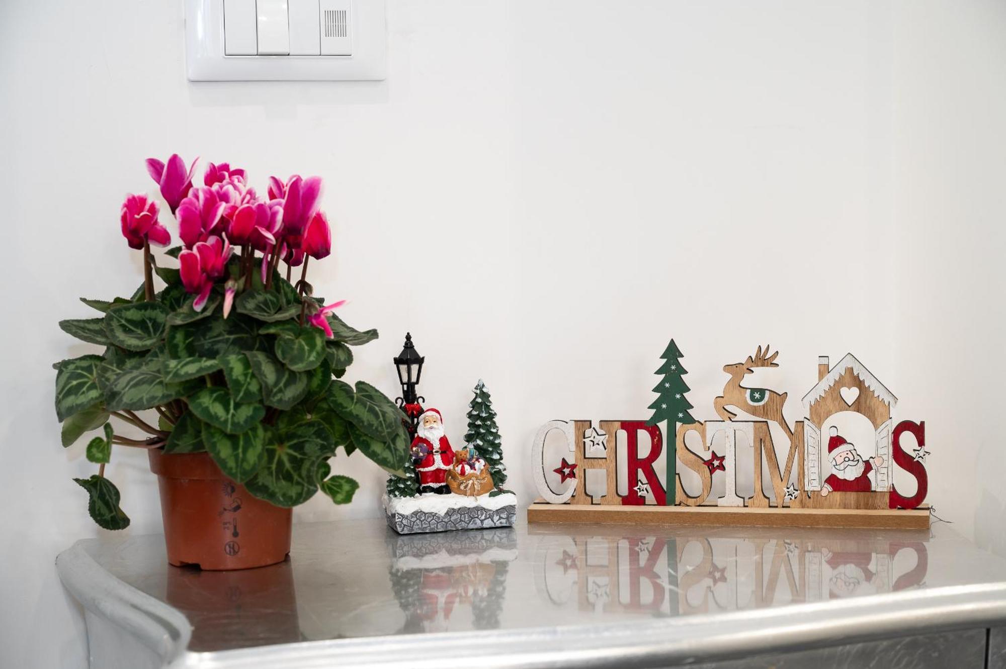 St. Peter Boutique Apt Roma Ngoại thất bức ảnh